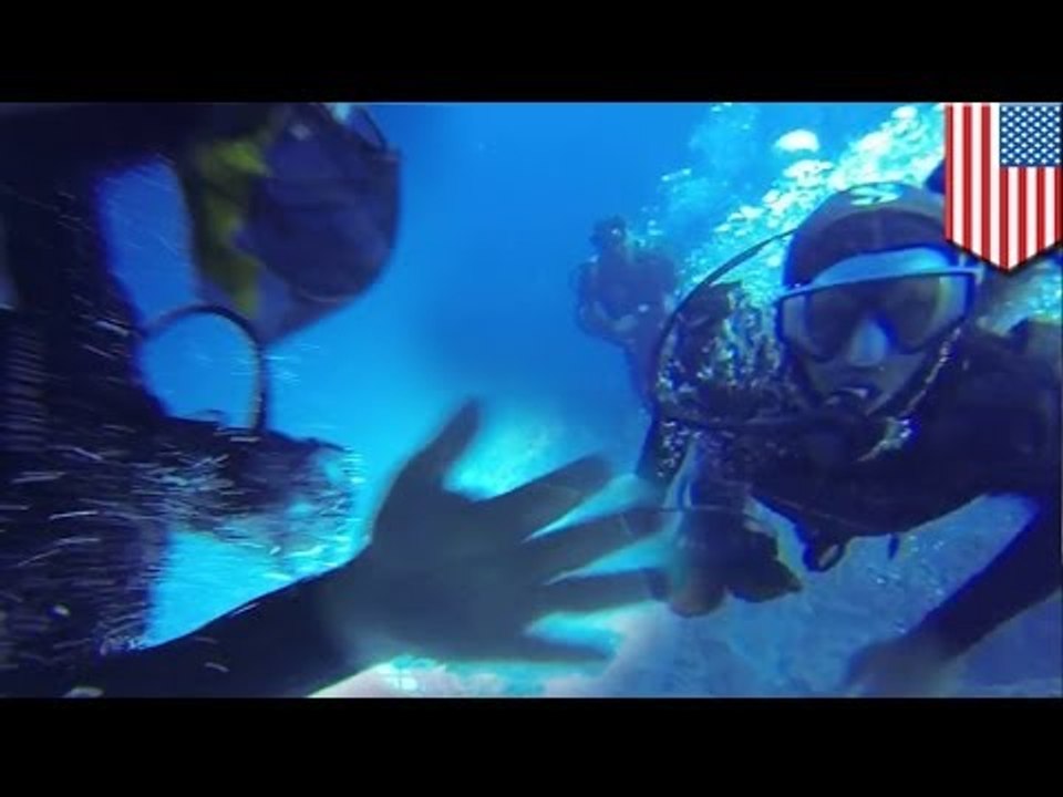 Scuba diving attempted murder? Diver Rene Umberger's air ripped from her mouth 50ft underwater