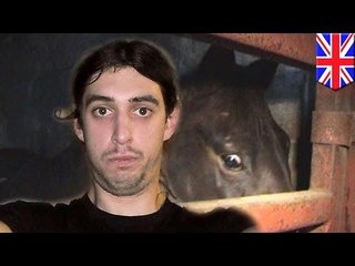 Weterynarz uprawiał seks ze zwierzętami.