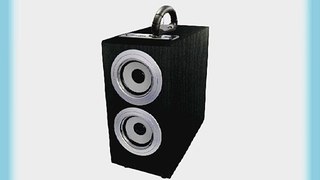 Axess SP1003-SL Music Box Speaker with Subwoofer Includes FM Stereo SD/USB/Line-In Inputs (Silver)