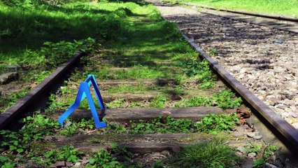 ZELIP / MANUFATTO  La Caravane passe - Roméo Gillis