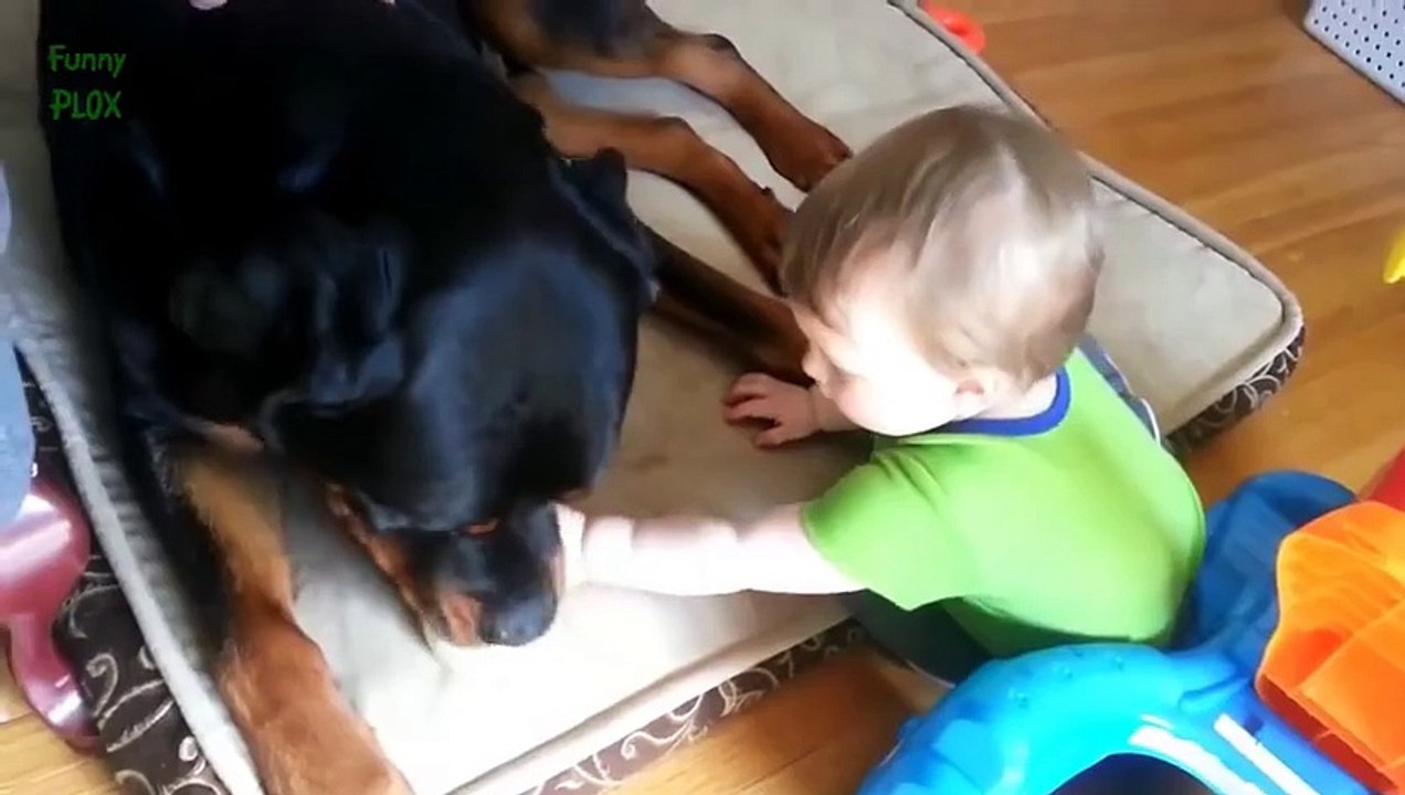 Best Rottweiler and Baby Video Compilation