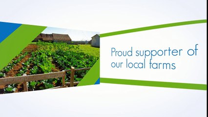 After Effects Project Files - Our Green Initiative - VideoHive 10100393