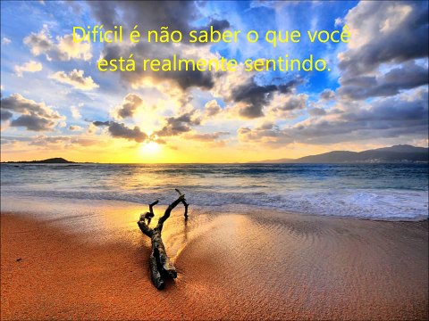 Meus sentimentos - Frases que tocam