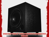 OSD Audio PS10 10-inch High Powered 120-Watt Premium Home Theatre Subwoofer Black