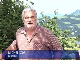 Rent-a-cow scheme to help Swiss city dwellers relax