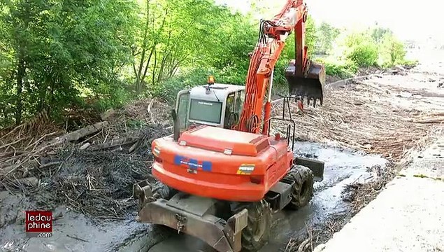 Nettoyage des berges de l'Isère