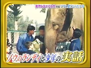 ゾウが天国の少年と１３年ぶり再会-1