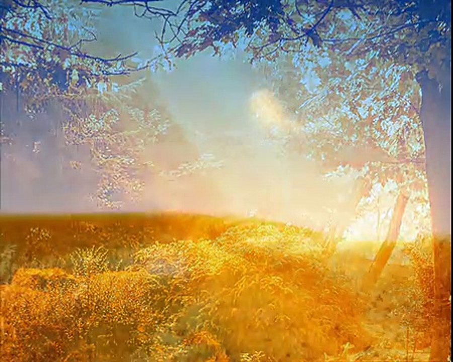 Fields of gold - Eva Cassidy (Cover)