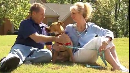 Severely Abused Puppy, Xena, And Autistic Boy, Jonny Hickey, Become Best Friends VIDEO)