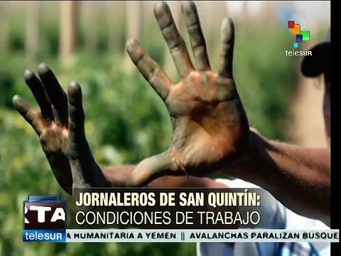 Condiciones de trabajo para jornaleros del Valle de San Quintín