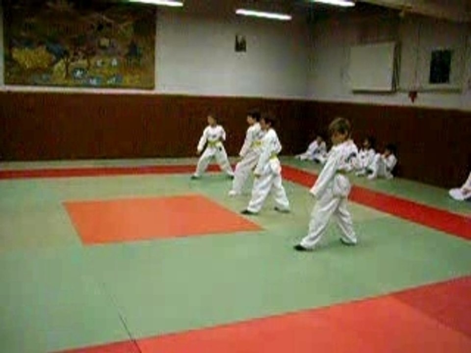 Technique de bras passage  grade 03/07