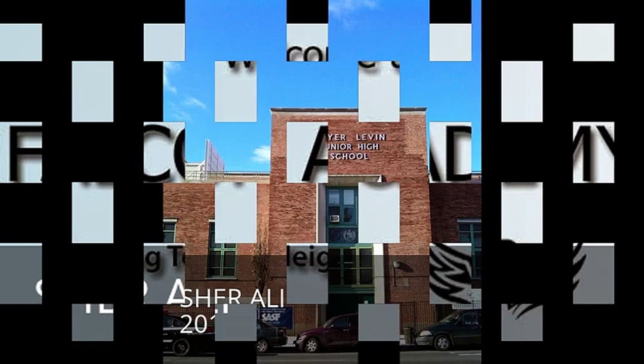 SHER QUAKER PARROT MEYER LEVIN JUNIOR HIGH SCHOOL 285 2011