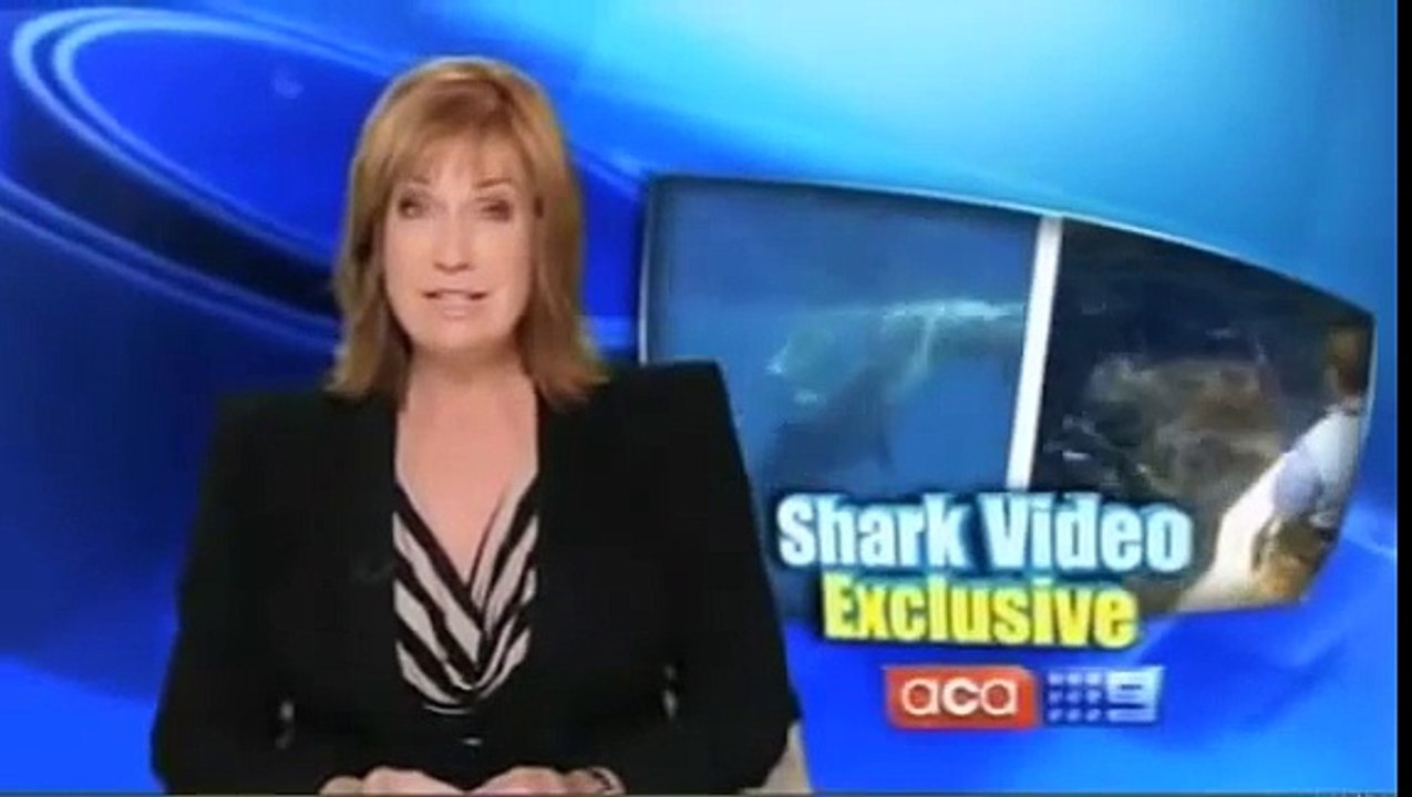 Shark vs Marlin