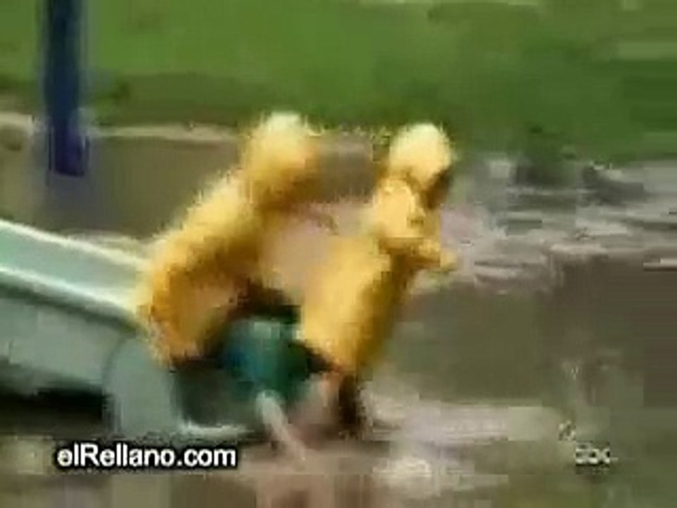 Videos Divertidos, Caidas Graciosas, Risas