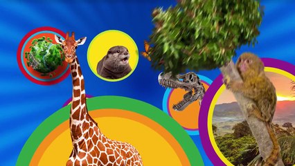 Discover the World of Dinosaurs with Nat Geo Kids 🦖