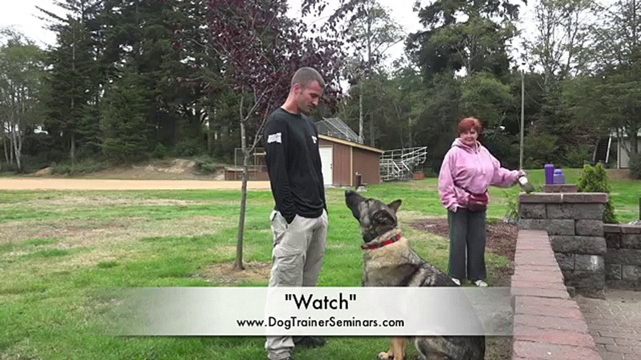 People Aggressive German Shepherd "Axel:" Private Seminar in Coos Bay, Oregon