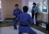 Chuck Norris vs. Karate School