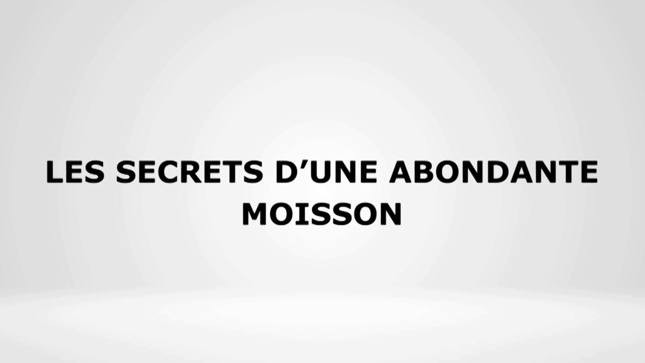 Les secrets d'une abondante moisson - Pst David GOMA