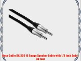 Hosa Cable SKJ230 12 Gauge Speaker Cable with 1/4 Inch Ends - 30 Foot