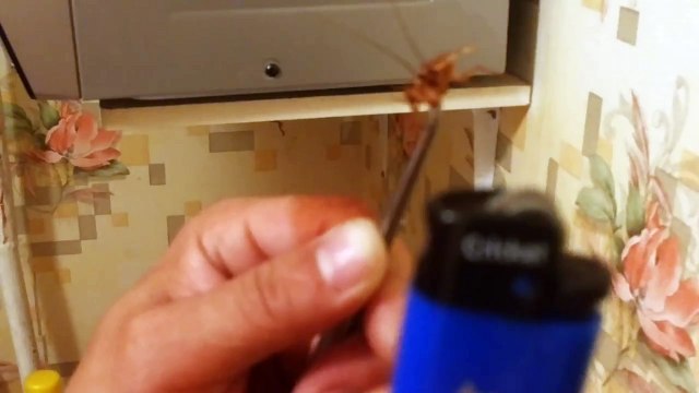 САМАЯ СТРАШНАЯ КАЗНЬ! ЭМОЦИОНАЛЬНЫЙ ПАЛАЧ