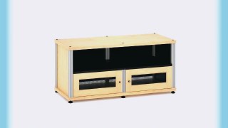 Salamander Designs SB229M/A Synergy Two Shelf A/V Cabinet with Doors and a Center Channel Opening