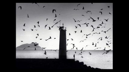 Oracles Always Lies - Birds Were Following Him