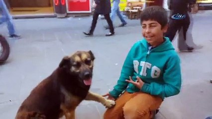 Suriye’li küçük çocuğun hayvan sevgisi kamerada