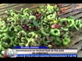 TV Patrol North Cental Luzon - February 26, 2015