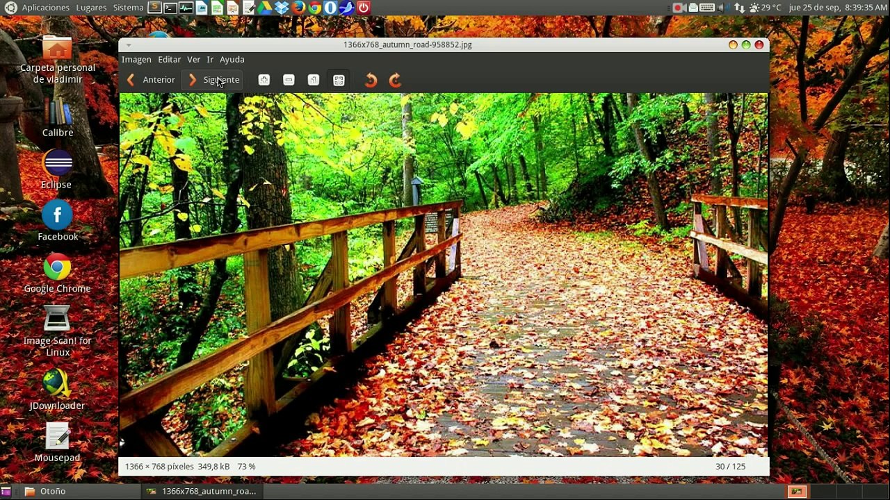 Pack Wallpapers Autumn (Otoño) - (1366 x 768).