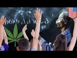 Colorado pot: fourth grade students busted for selling marijuana to classmates