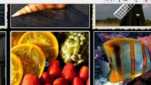 شرح تثبيت وتفعيل برنامج PhotoZoom Pro 5 لتكبير وتصغير الصور