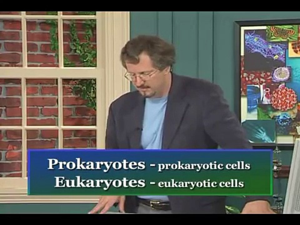 Prokaryotes and Eukaryotes