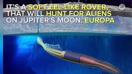 NASA Develops Creepy ‘Robosquid’ To Hunt For Aliens