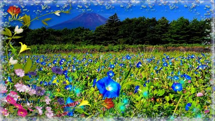 ♥•*¨*•.¸¸~Красивая песня~ ♥•*¨*•.¸¸MANELE ROMANESTI