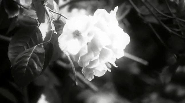 Saint Therese of Lisieux, film, her Last Conversations, Catholic Saint