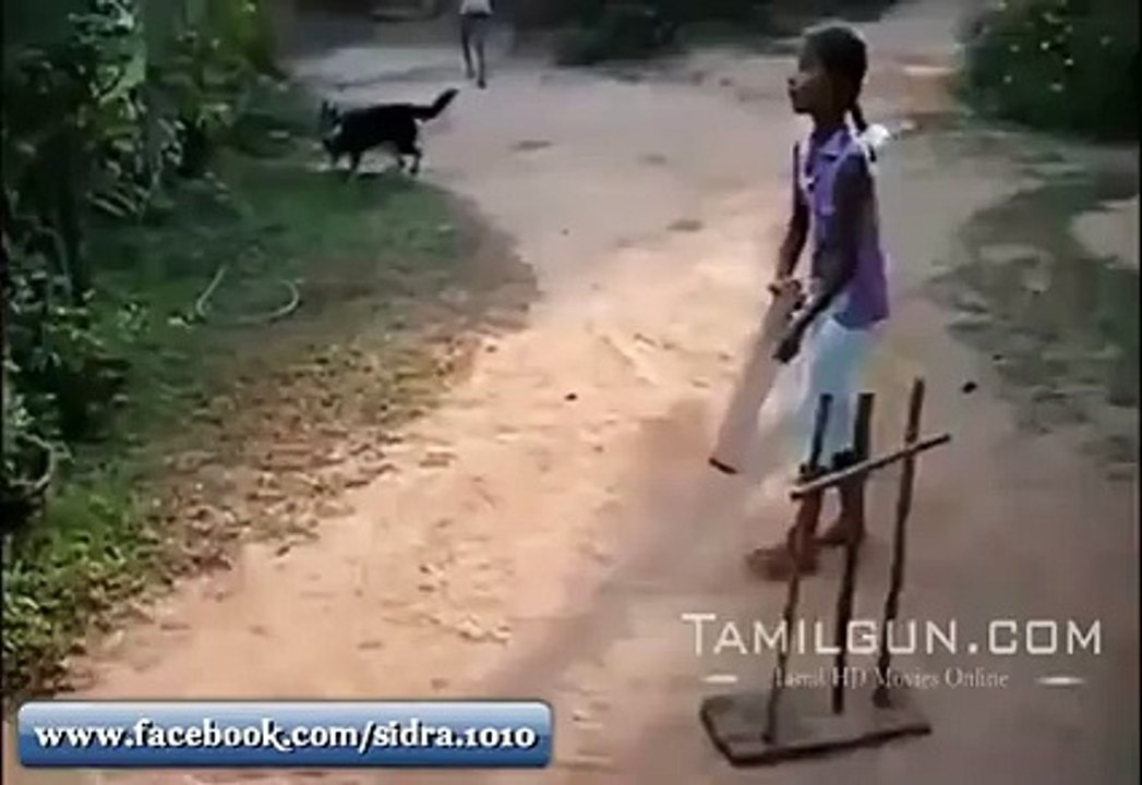 What a Player This Dog is