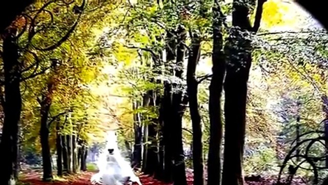 Imao sam konja vrana