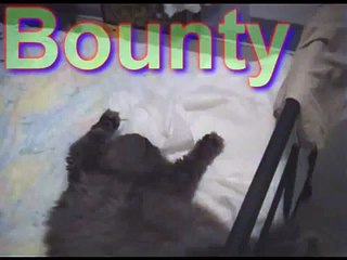 La belle chatte ta touffe m etouffe