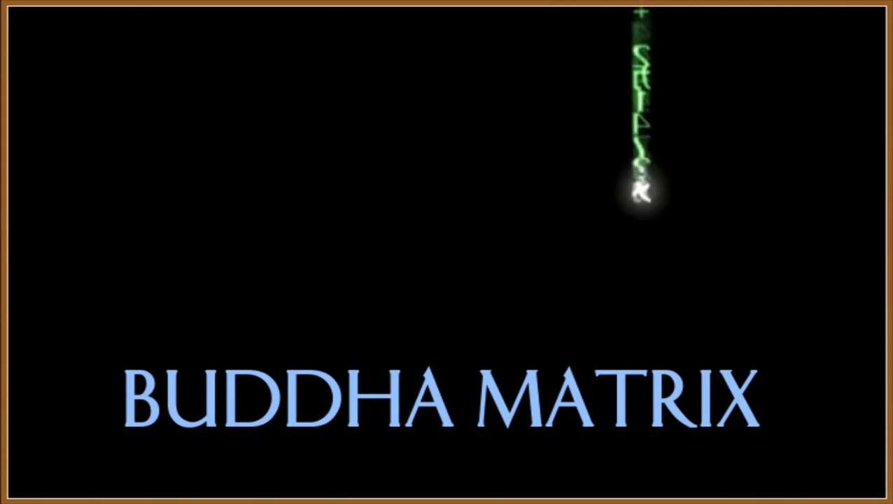 Buddha Matrix-2015