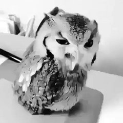 Must see very funny video..lolz