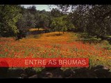 Portuguese National Anthem