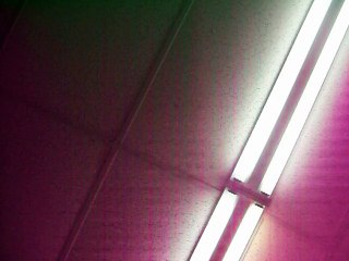 Strawberry Fields Forever