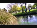 Fly fishing in New Zealand..Christchurch earthquake trout fishing #2