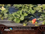 SIEMBRA Y COSECHA TV: Compradores de Frutillas en Expo Lules