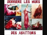 Viande=MORT; fière d'être végétarienne!