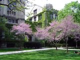 Sights & Sounds:  THE University of Chicago and Hyde Park