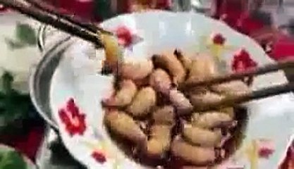 Whatsapp Amazing Stunt Video - Car climbing up mountain stunt