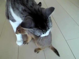 Удивительная дружба