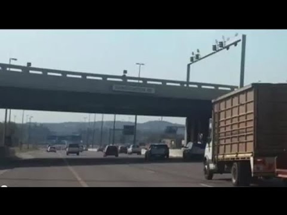 露天卡車載運 長頸鹿撞橋慘死