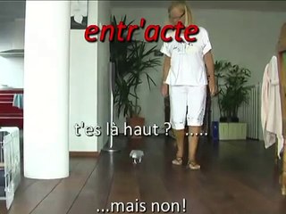 Enzo en direct; le perroquet parleur le plus impressionnant